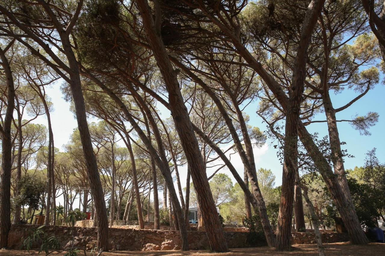 Camping 3 Estrellas Costa Brava Вай-Йобрега Екстериор снимка